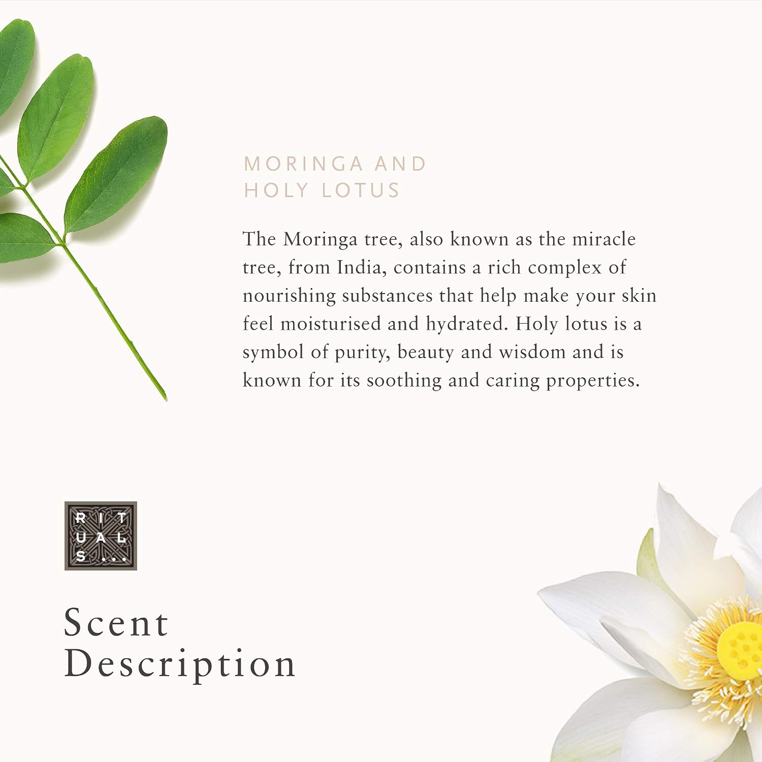 Rituals — The Ritual of Namaste Gentle Cleansing Foam, 5 fl oz